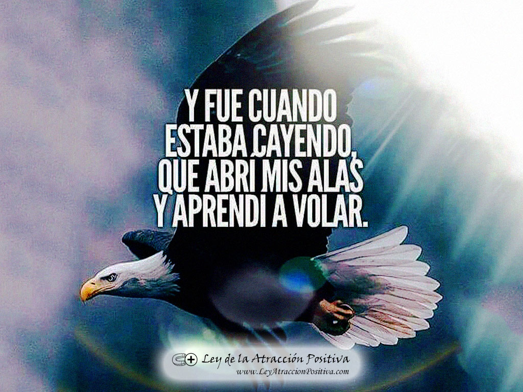 "Y fue cuando estaba cayendo que abrí mis alas y aprendí a volar."