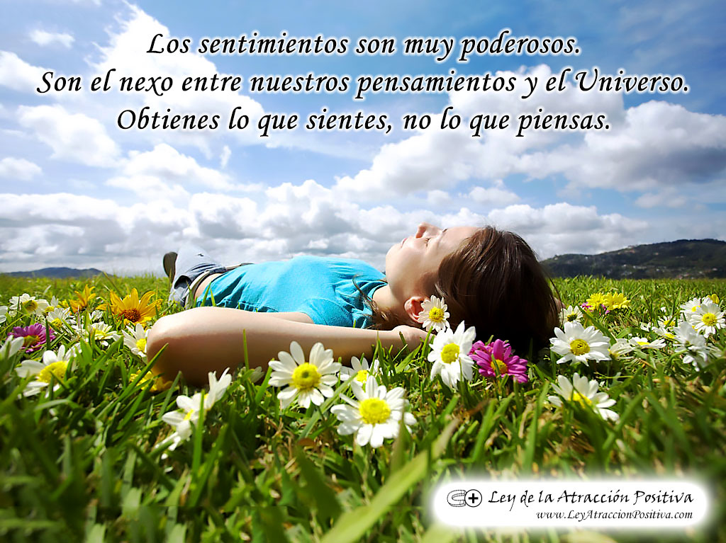 "Los sentimientos son muy poderosos. Son el nexo entre nuestros pensamientos y el Universo. Obtienes lo que sientes, no lo que piensas. "