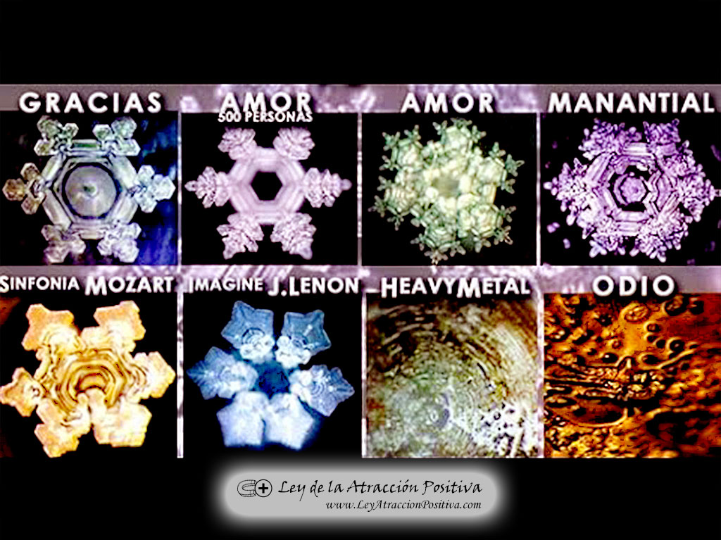 Experimento Masaru Emoto