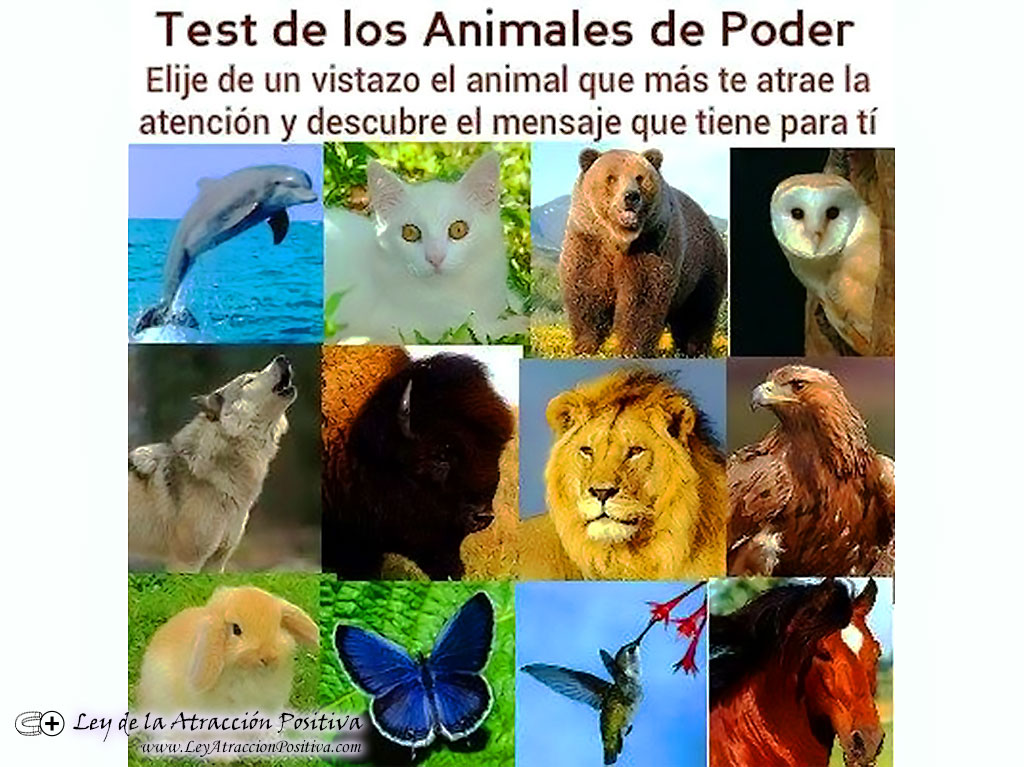 Test de Personalidad de los Animales de Poder