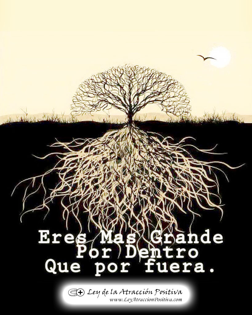"Eres más grande por dentro que por fuera."