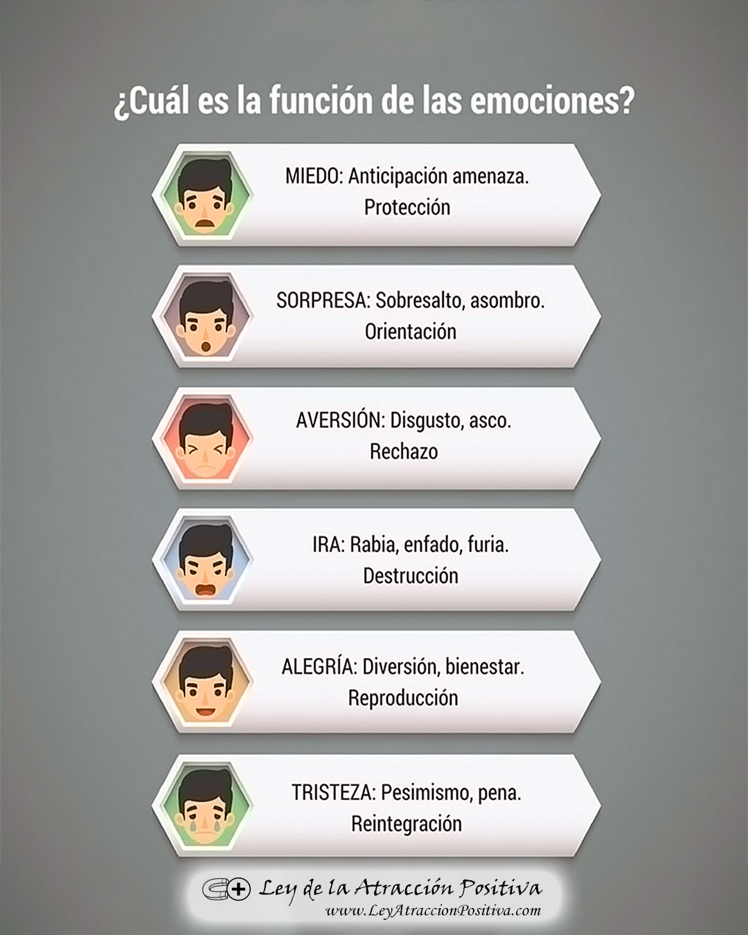 Emociones: Definición y Significado