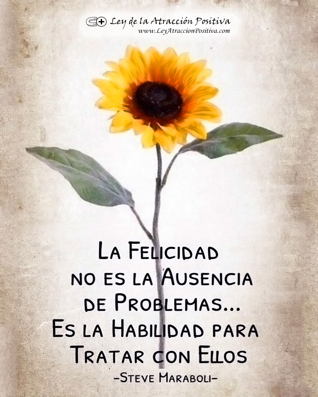 Alegría Felicidad