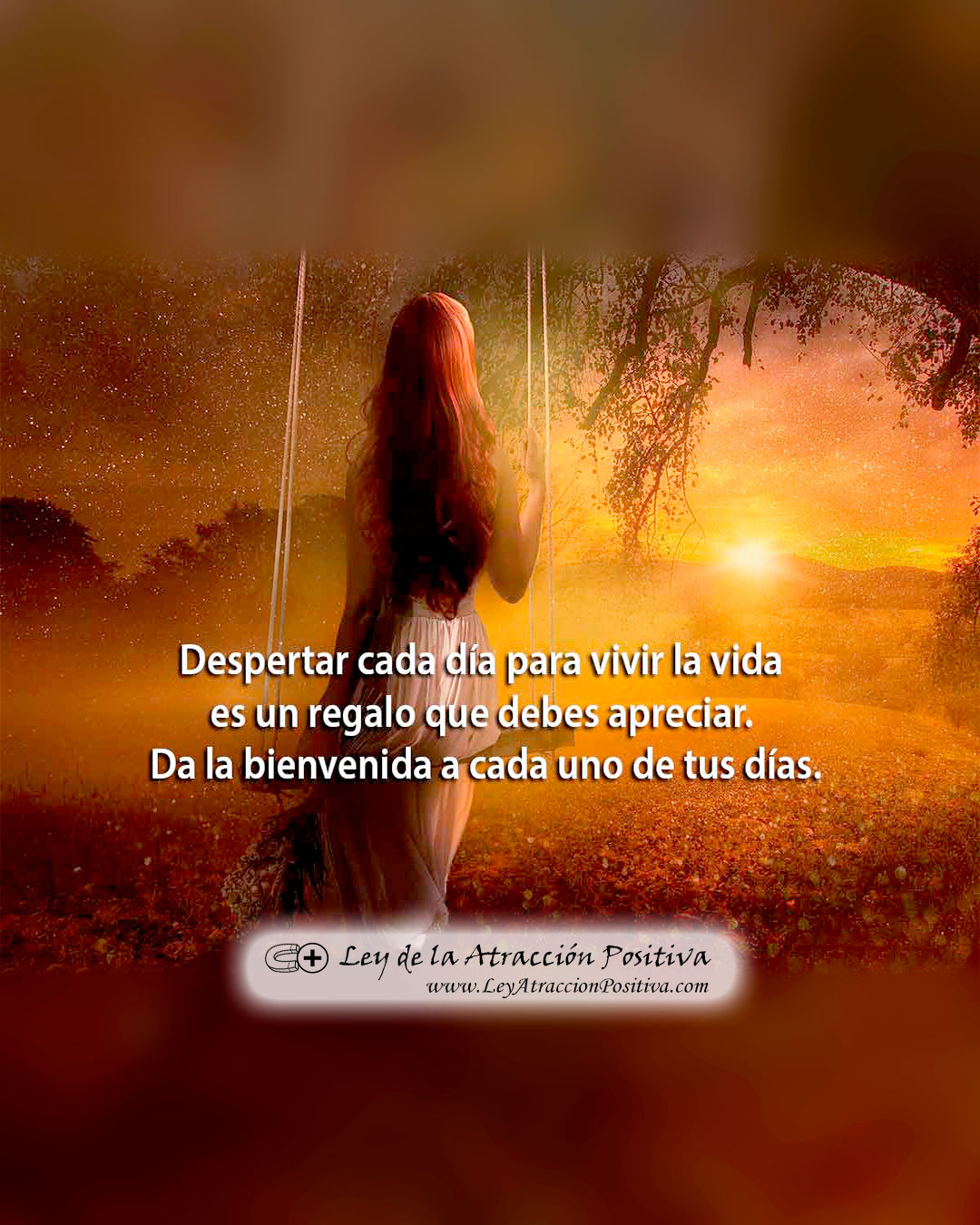 Bienvenida a tu Nueva Vida