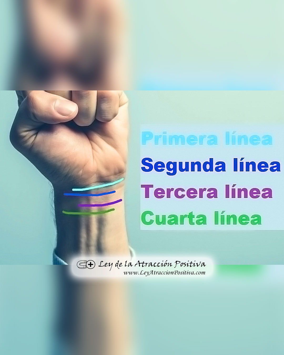 Significado de las Líneas e la Muñeca