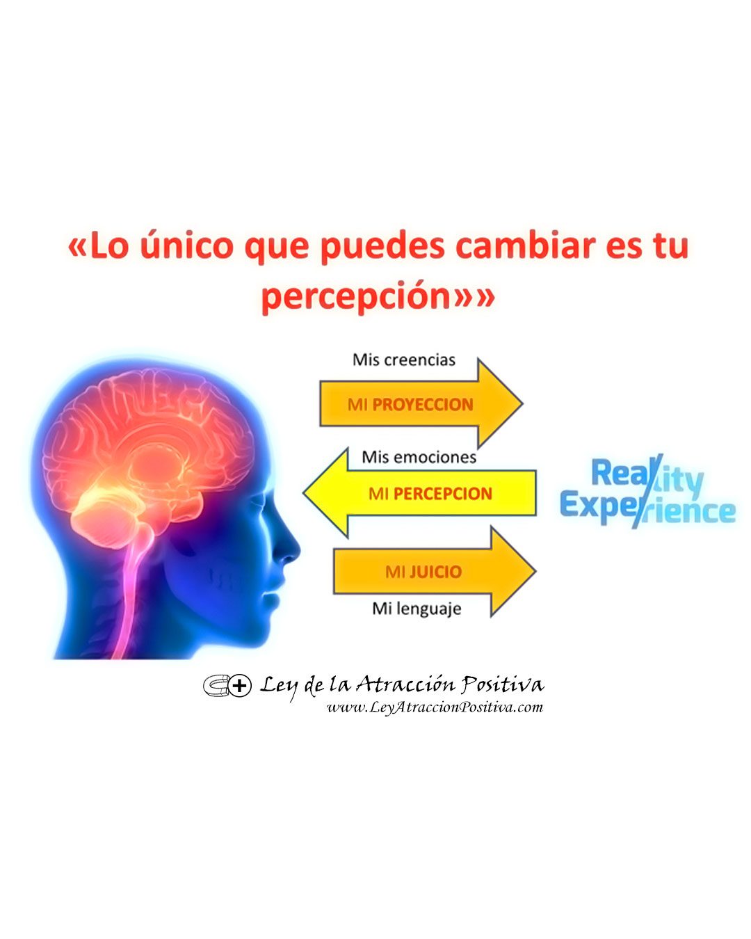 Tu Vida es una Proyección de tus Creencias y Emociones