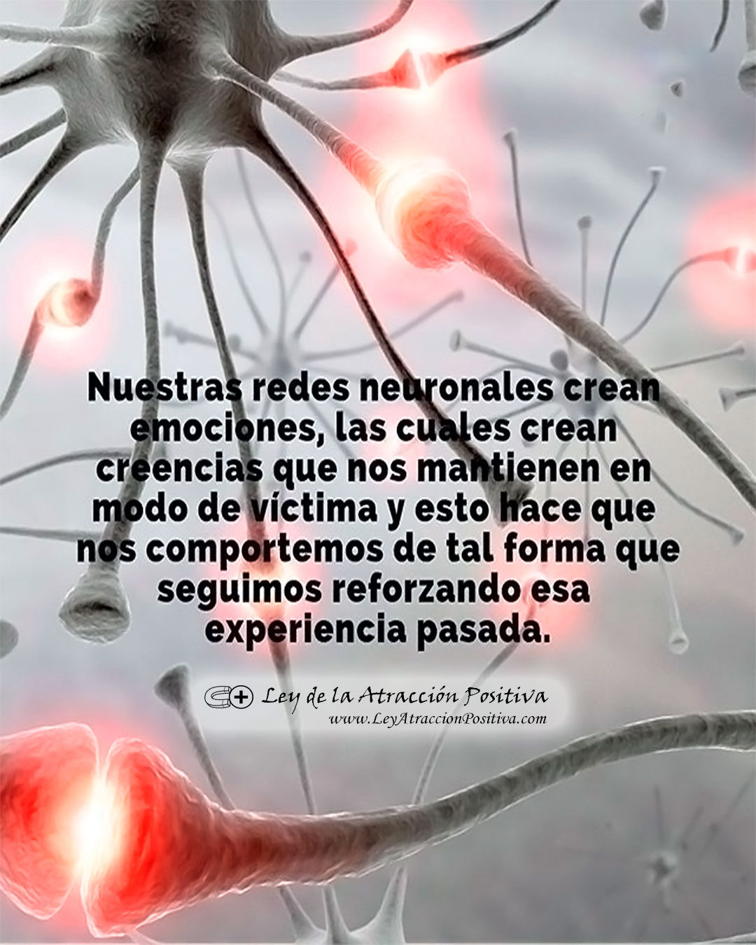 Redes Neuronales y el Pasado
