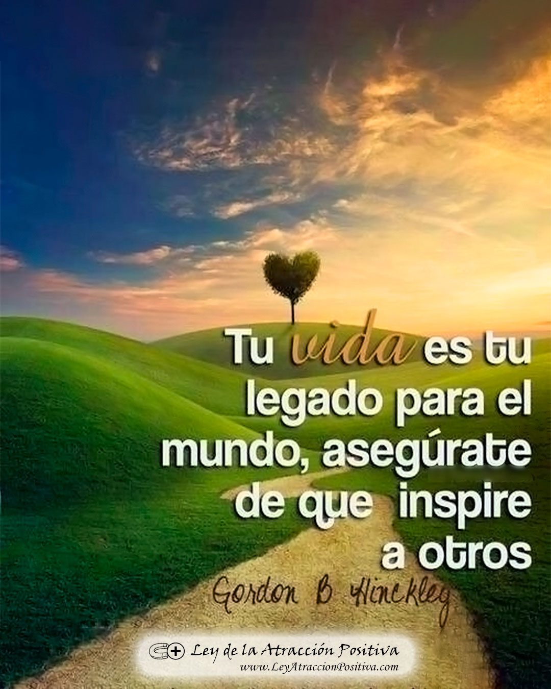 Tu Legado