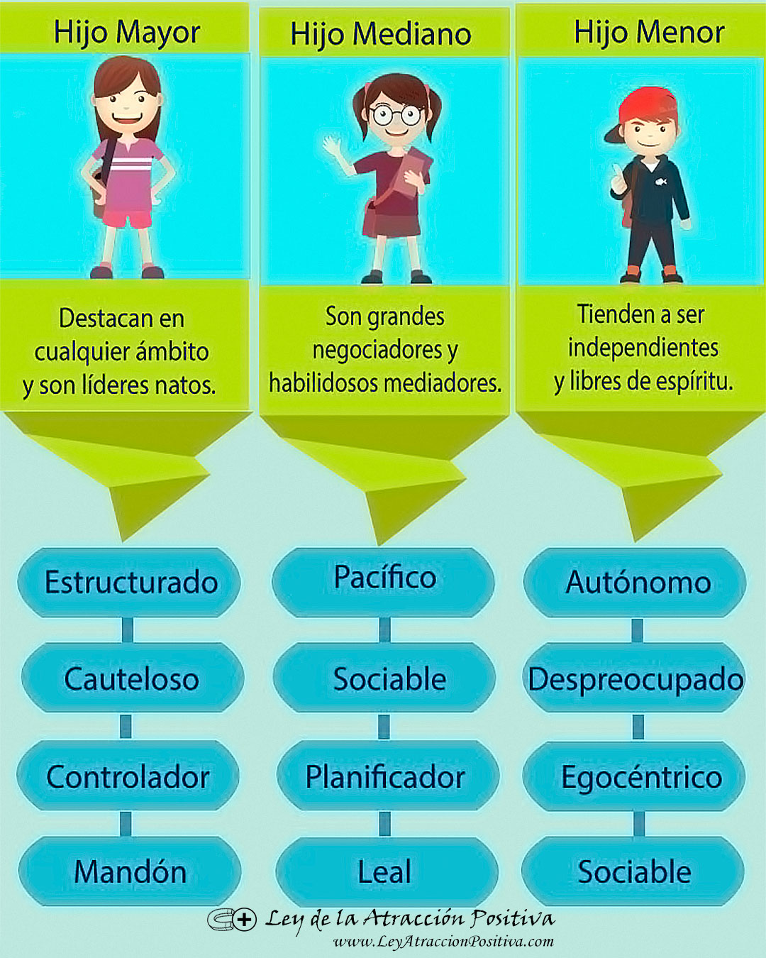 Personalidad Orden Nacimiento Adler