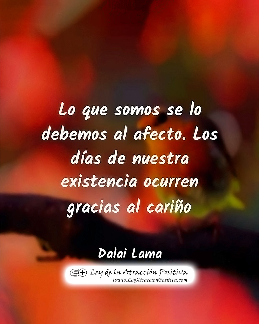 Cariño y Afectos