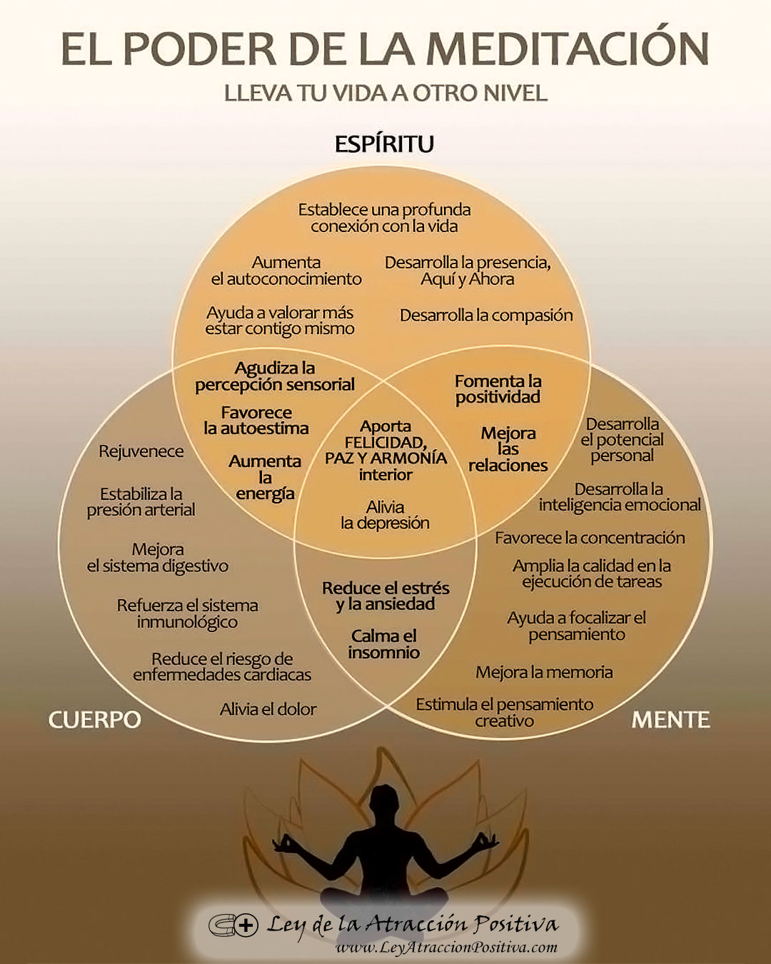 Meditación y Beneficios