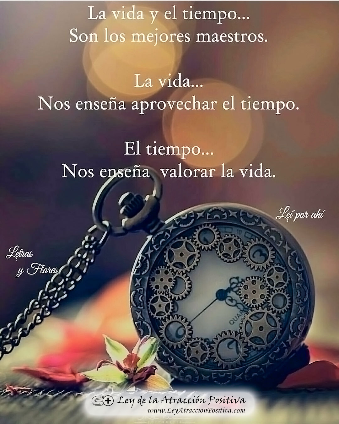 Reflexión Vida y Tiempo