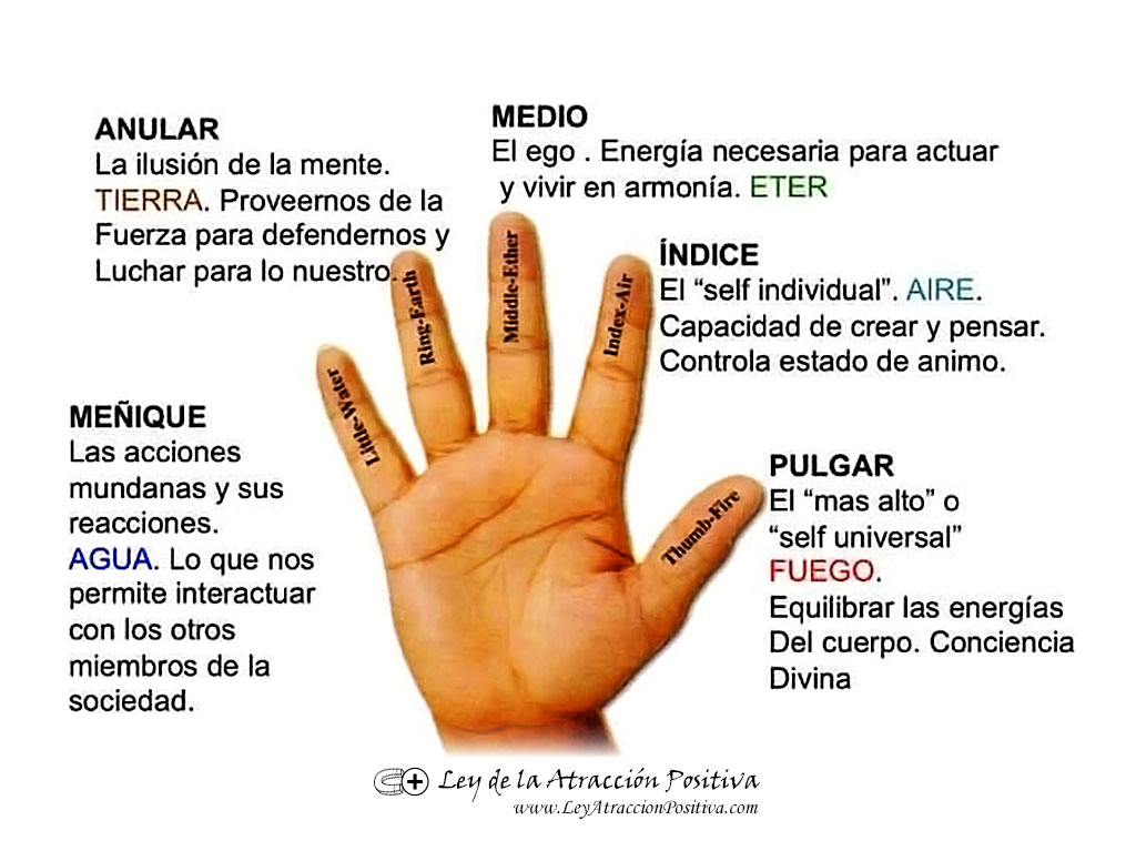 El Significado Emocional de la Manos