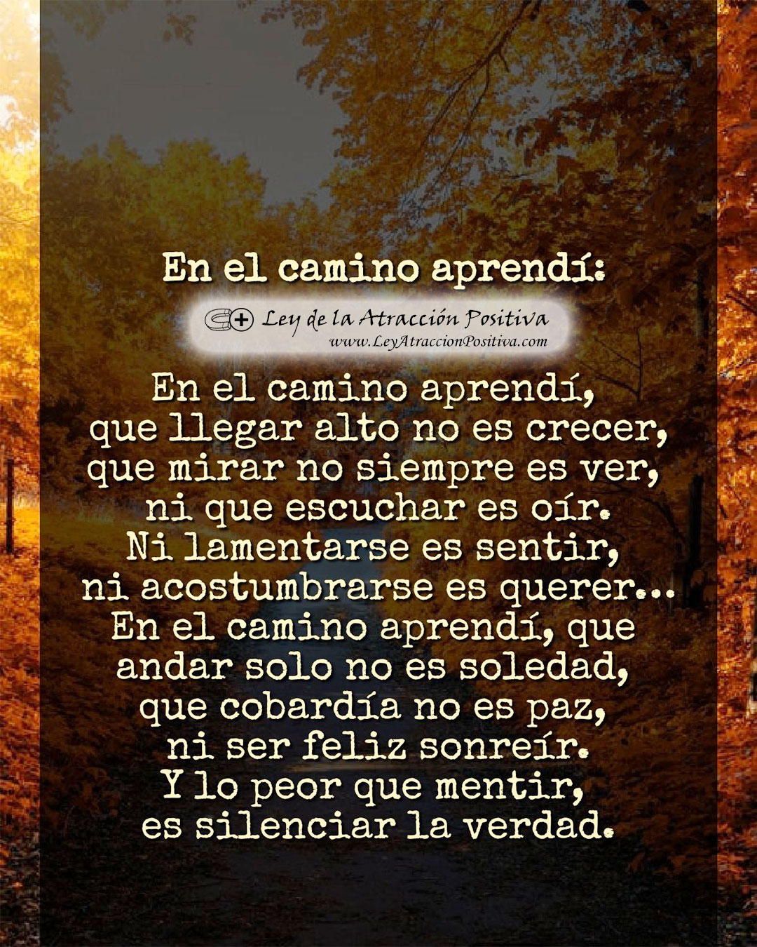 Reflexiones de la Vida