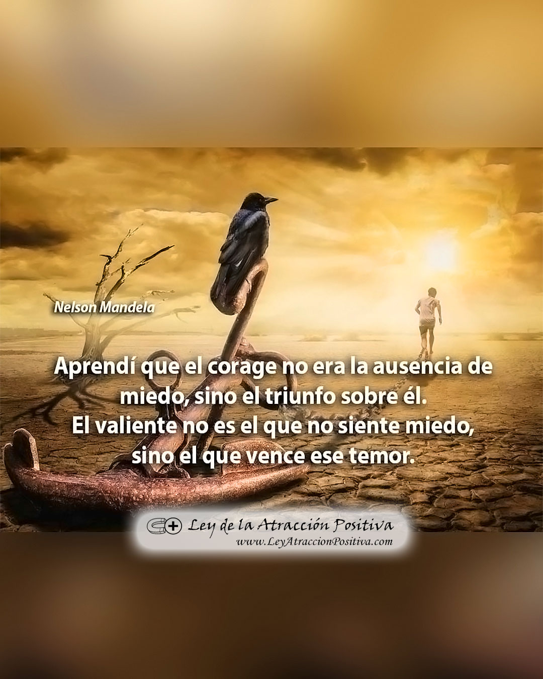 Tener Coraje para Salir Adelante