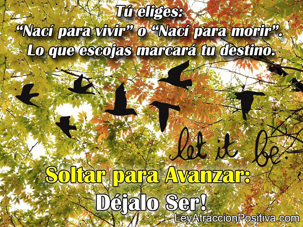Soltar para Avanzar: Déjalo Ser!