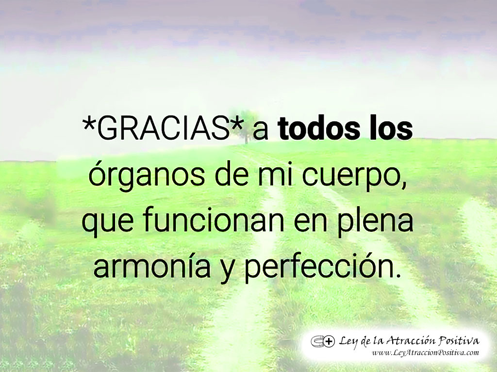 "¡Gracias a todos los órganos de mi cuerpo que funcionan en plena armonía y perfección!"