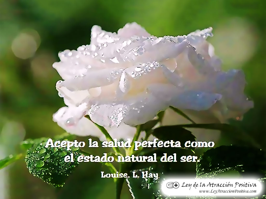 "¡Acepto la Salud Perfecta como el Estado Natural del Ser!" Louise Hay