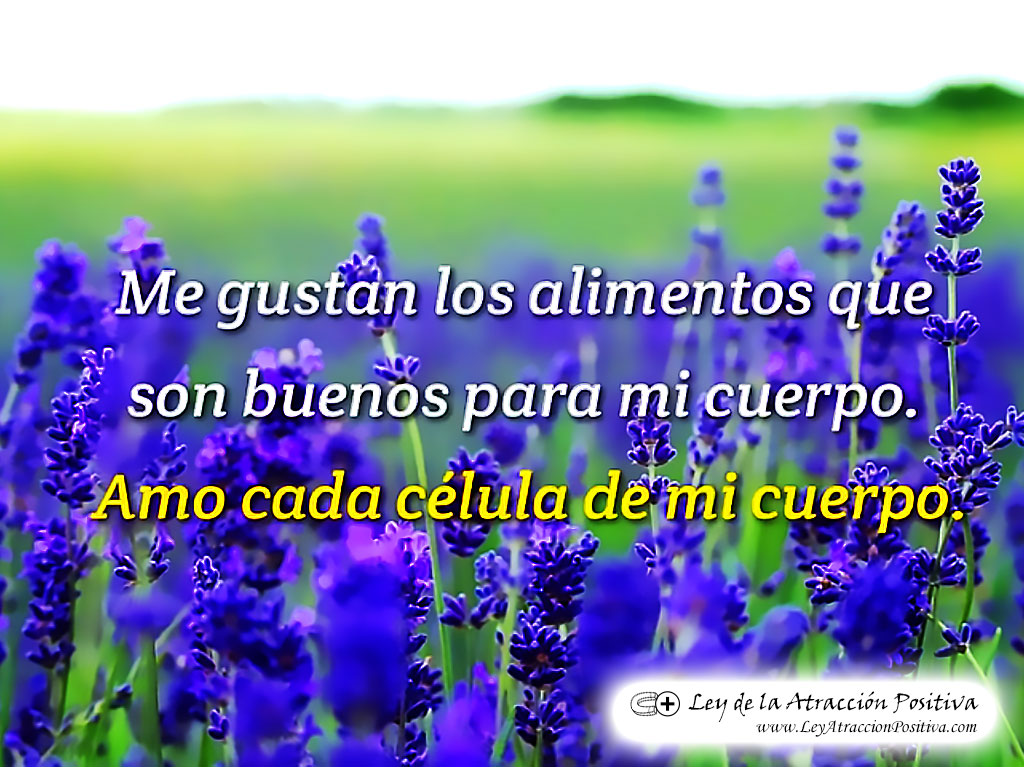 "¡Me gustan los alimentos que son buenos para mi cuerpo! ¡Amo cada célula de mi cuerpo!"
