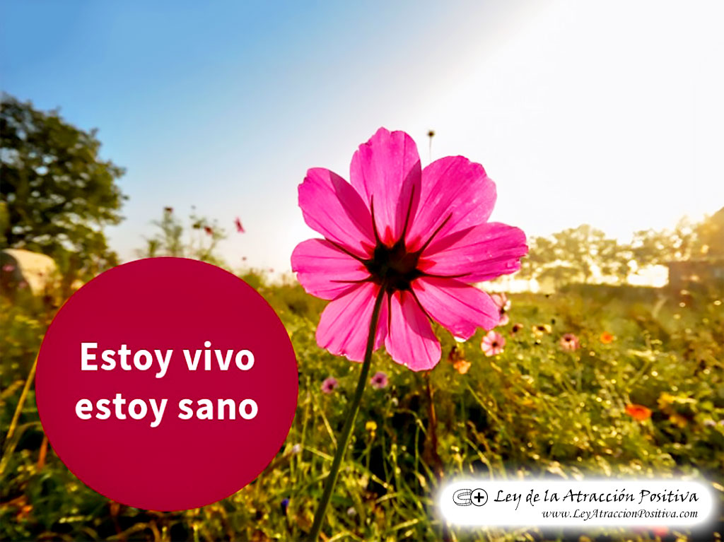 "¡Estoy Vivo y Sano!"