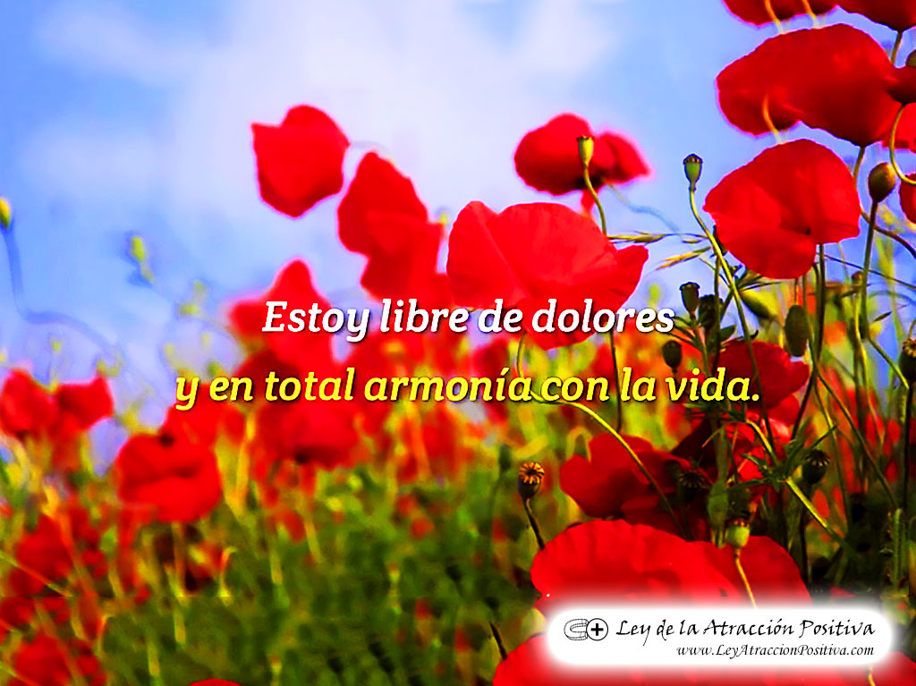 "¡Estoy Libre de Dolores y en Total Armonía con la Vida!"