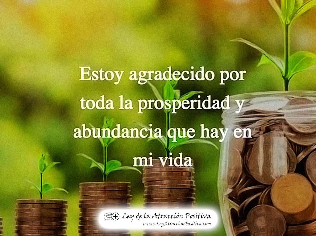 "¡Estoy Agradecido por Toda la Prosperidad y Abundancia que hay en mi Vida!"