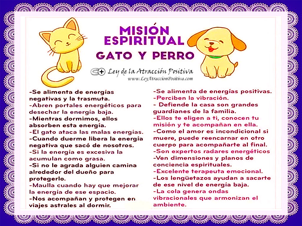 Misión Espiritual del Gato y del Perro