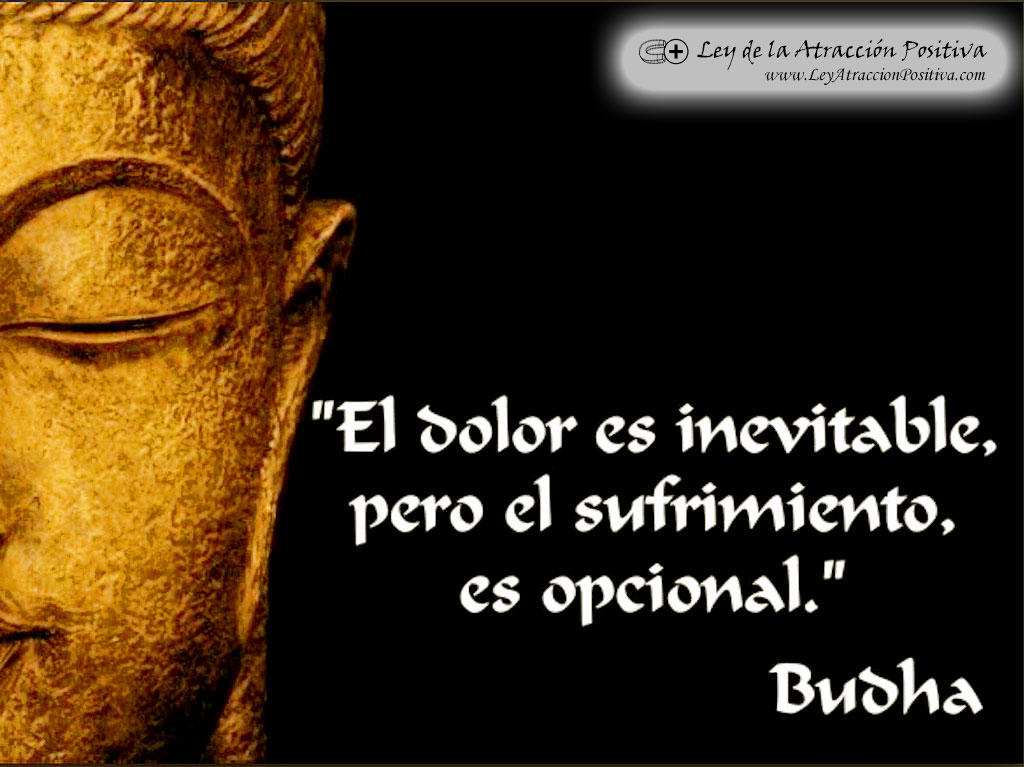 "El dolor es inevitable, pero el sufrimiento es opcional." Budha