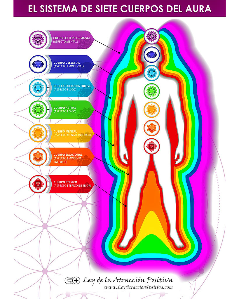 El Sistema de Siete Cuerpos del Aura