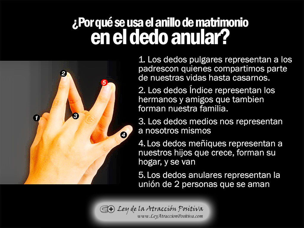 ¿Por qué se usa el anillo de matrimonio en el dedo anular?