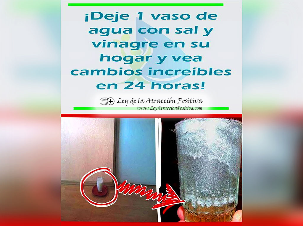 Vaso de Agua, Sal y Vinagre.