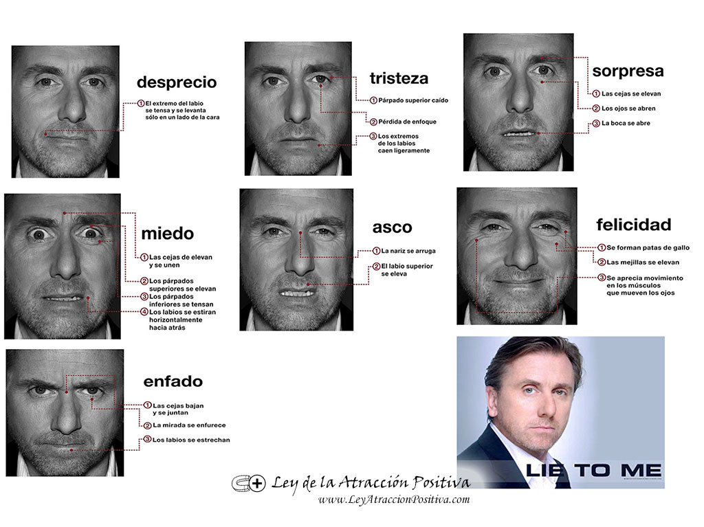 Lie to Me. Mentiras. Mentiroso Gestos.