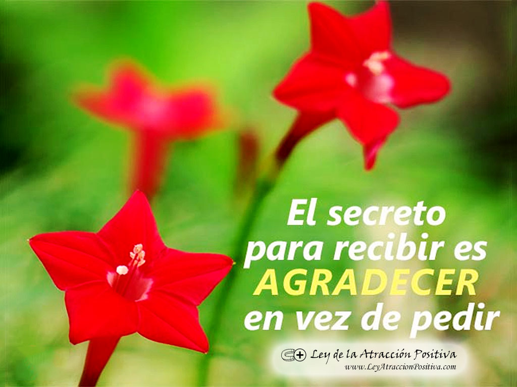 "El Secreto para Recibir es Agradecer en vez de pedir". Plantas y Flores para Atraer lo que Deseas.