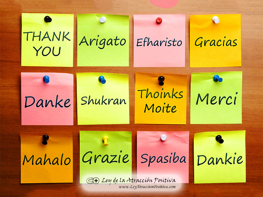 El Poder de la Gratitud