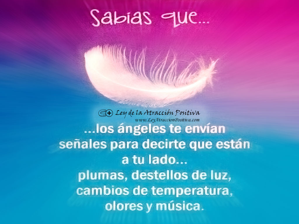 Ángel de la Guarda según el Día que Naciste: Sabías que los ángeles te envían señales para decirte que están a tu lado? Plumas, destellos de luz, cambios de temperatura, olores y música.