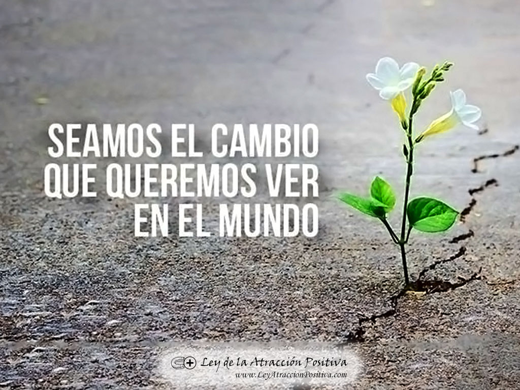 Psiconeuroinmunología: Seamos el Cambio que Queremos Ver en el Mundo. Gandhi