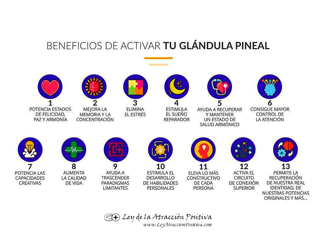 Beneficios de Activar tu Glándula Pineal