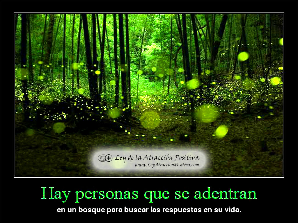 Test Psicológico del Bosque: "Hay personas que se adentran en un bosque para buscar las respuestas en su vida".