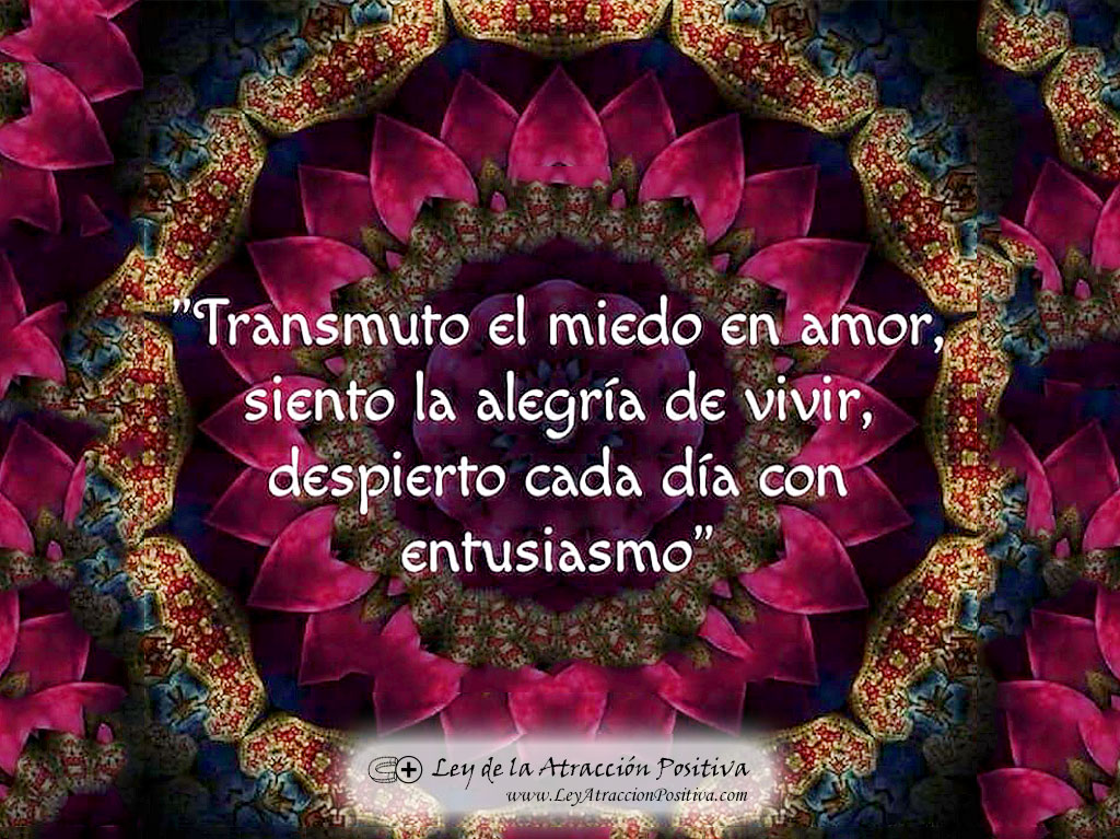 Transmuto el miedo en amor, siento la alegría de vivir, despierto cada día con entusiasmo.