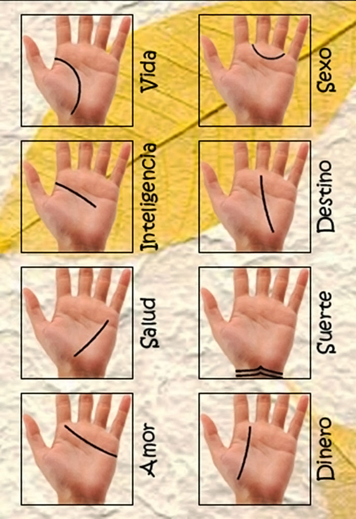 El Significado de las Líneas de la Mano
