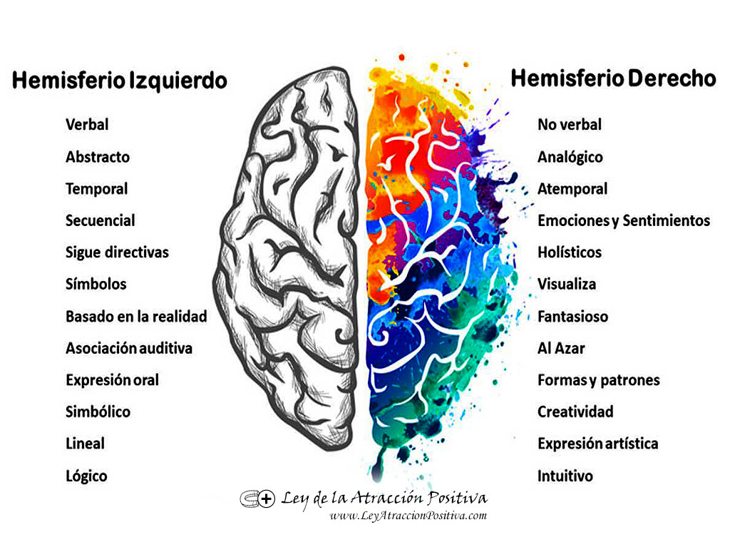 Test de la Bailarina de Ballet: Hemisferio derecho vs. Hemisferio izquierdo