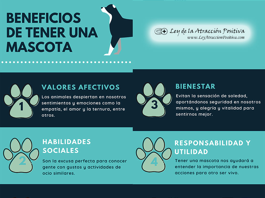 Beneficios de Tener una Mascota