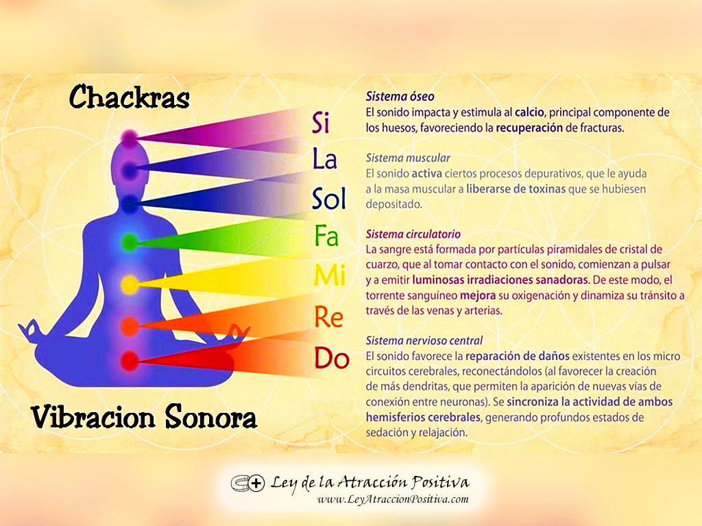 Terapias para Alinear los Chakras: Vibración Sonora
