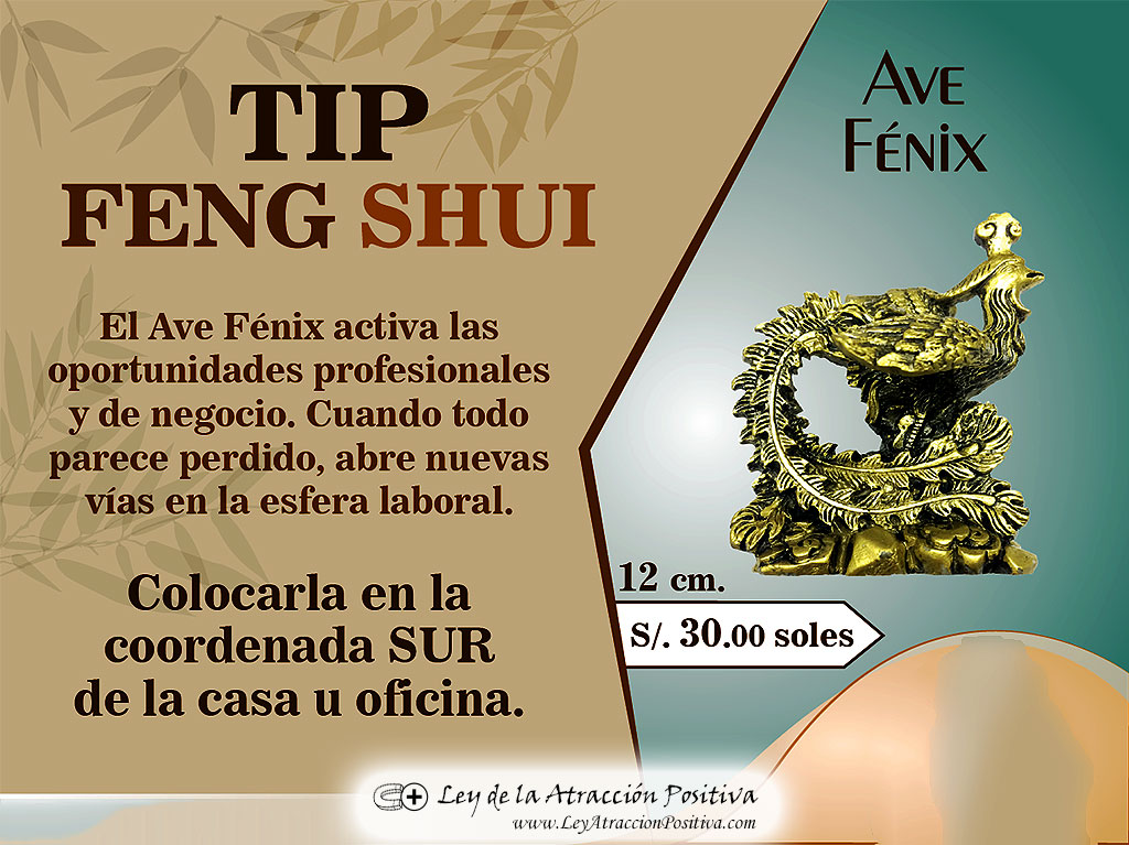 Curso Feng Shui Gratis: Conservar Energía