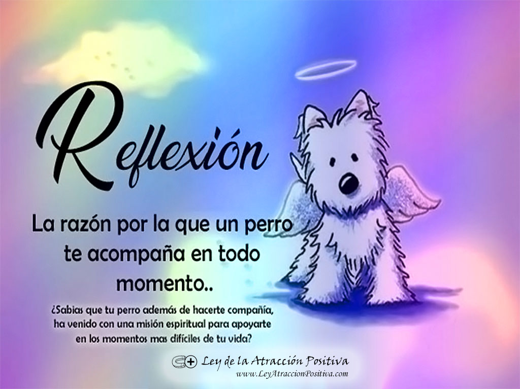 La Misión Espiritual de los Perros