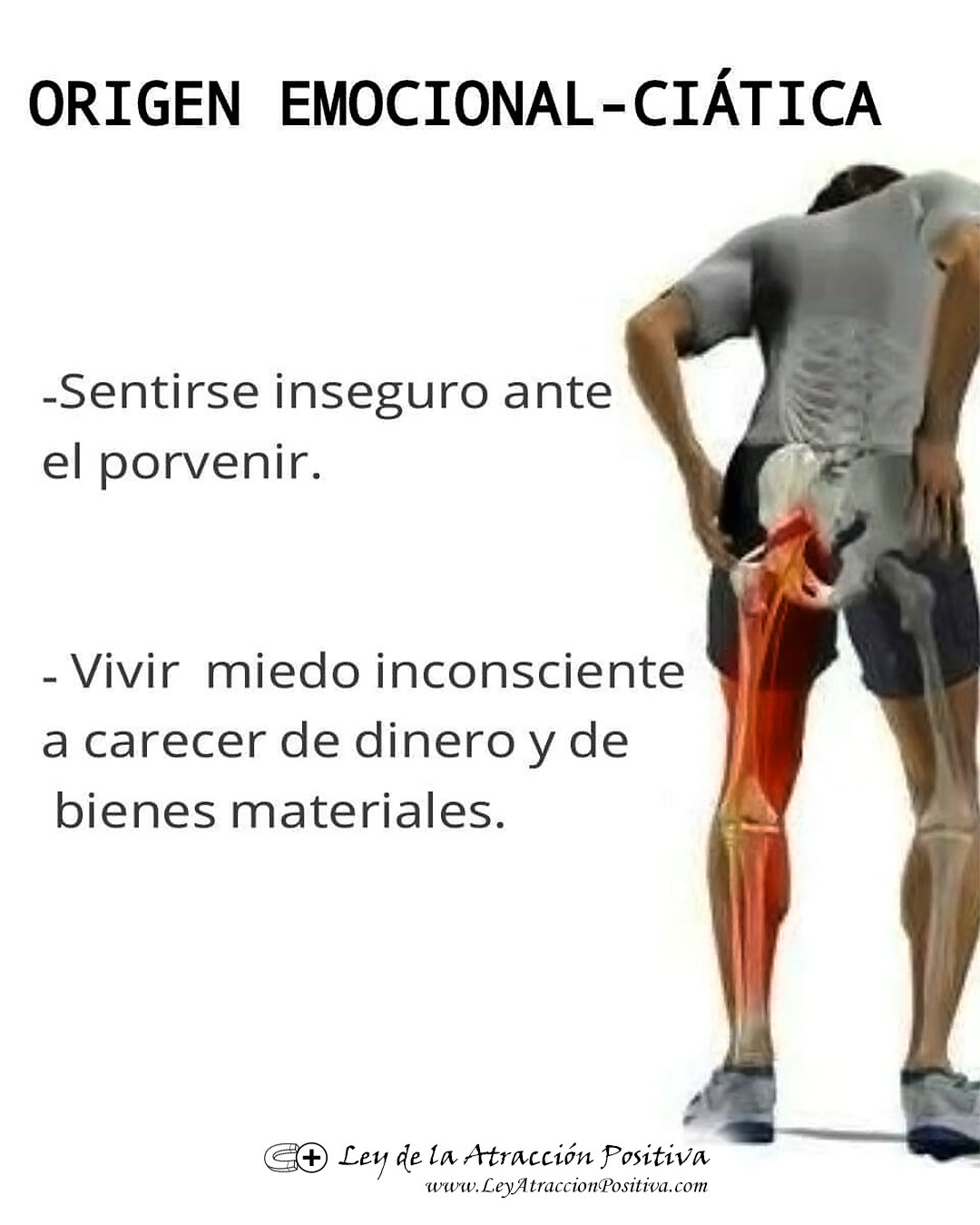 Biodescodificación del Dolor de Ciático