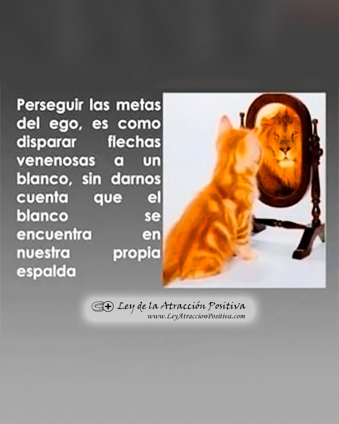 Ley Esfuerzo Invertido Metas