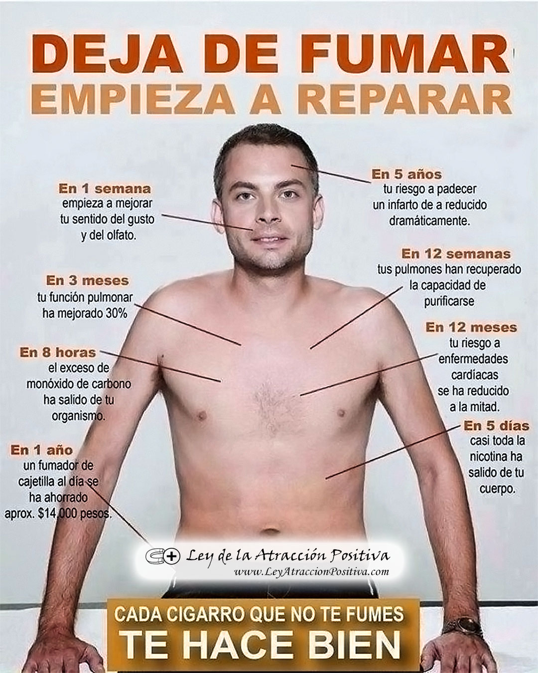 Métodos Dejar Fumar