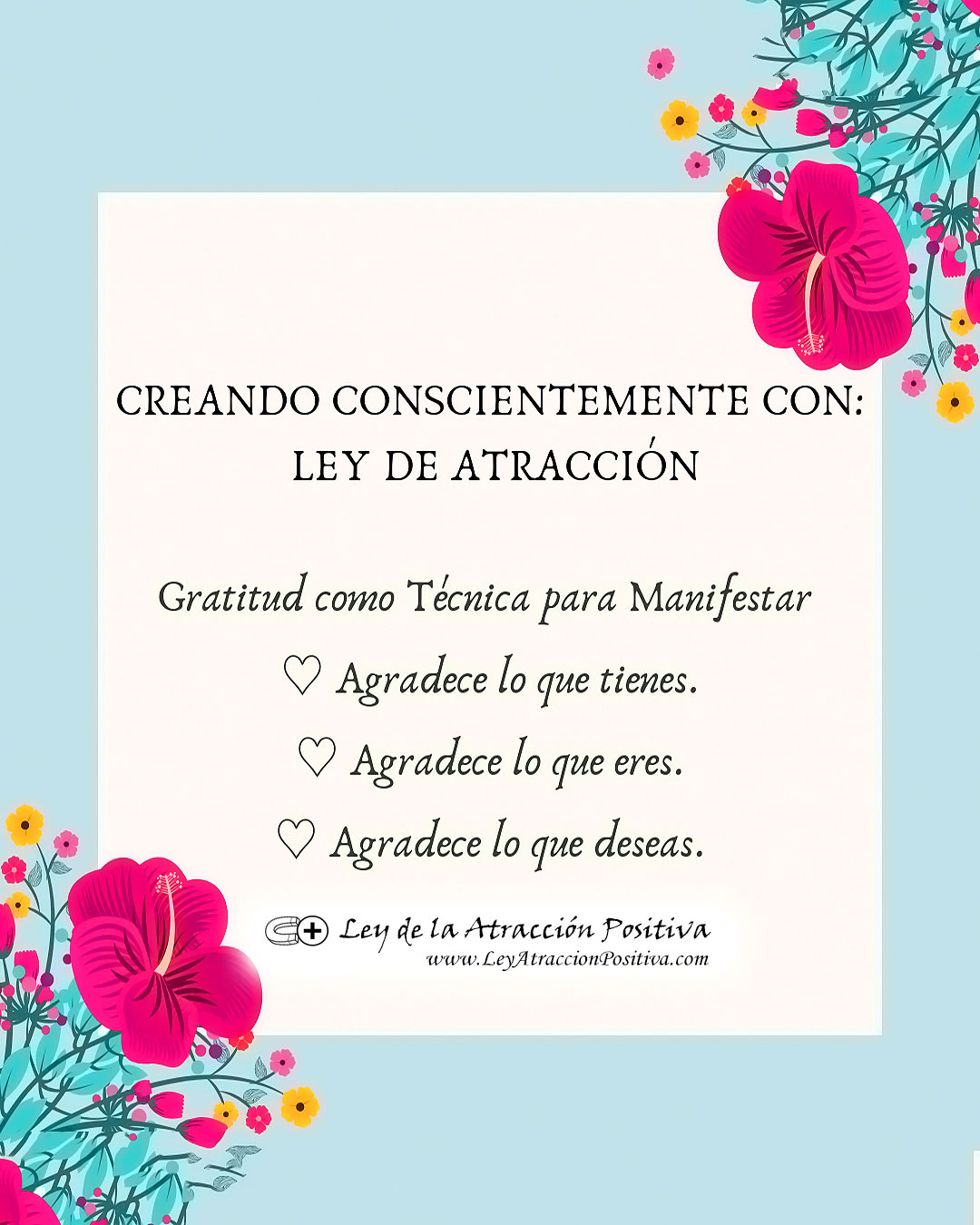 Gratitud Ley Atracción