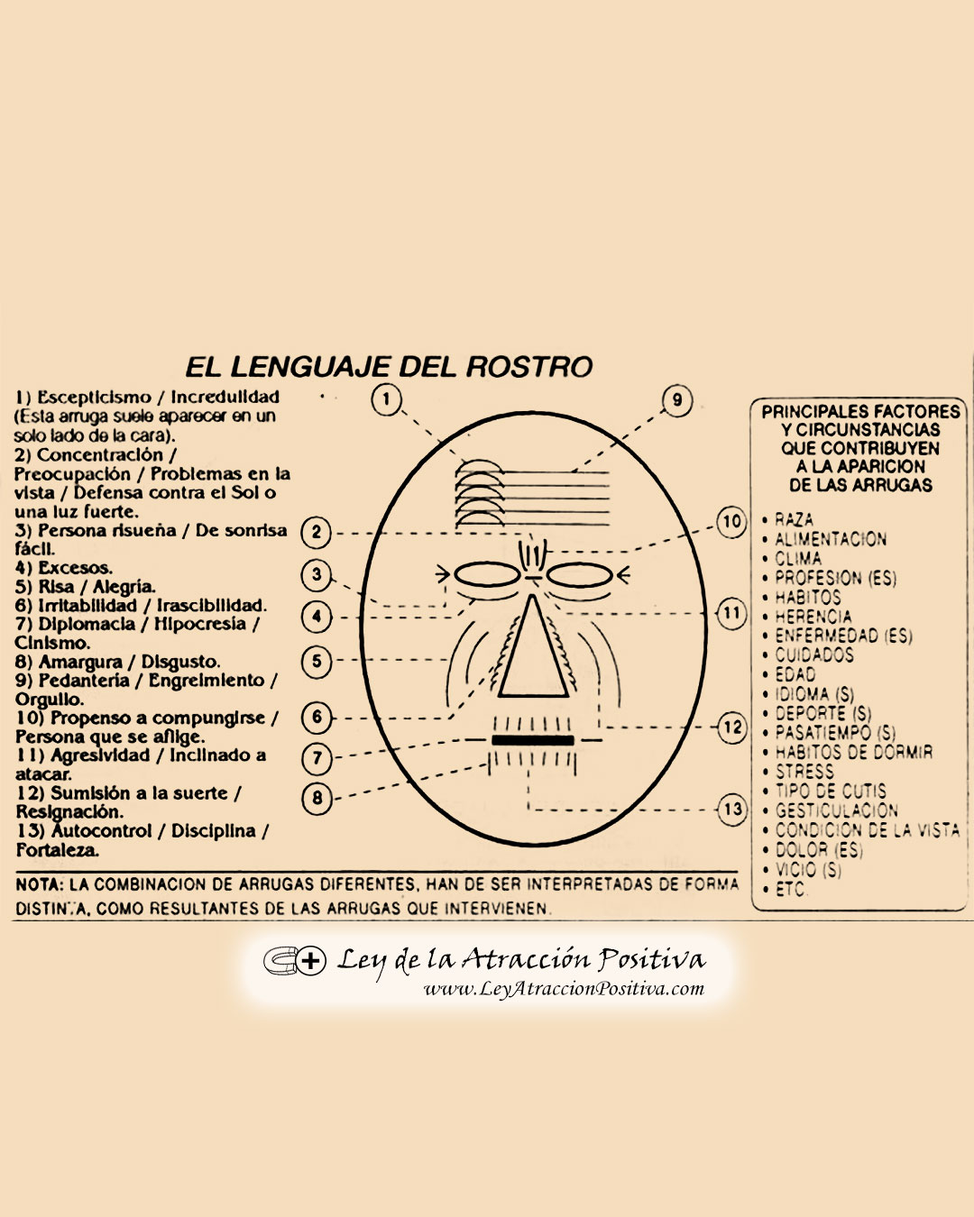 Significado Líneas Frente
